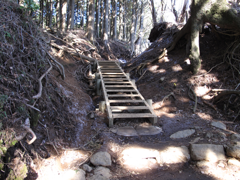 20151228hike (106)